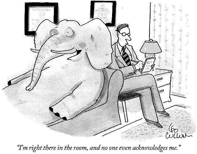elephant-in-the-room